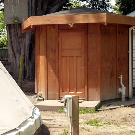 Wacky Stays - Unique Farm-Stay Glamping Rentals, Free Animal Feeding Tours Kaikoura Luaran gambar