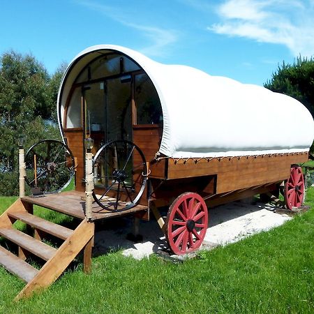 Wacky Stays - Unique Farm-Stay Glamping Rentals, Free Animal Feeding Tours Kaikoura Luaran gambar