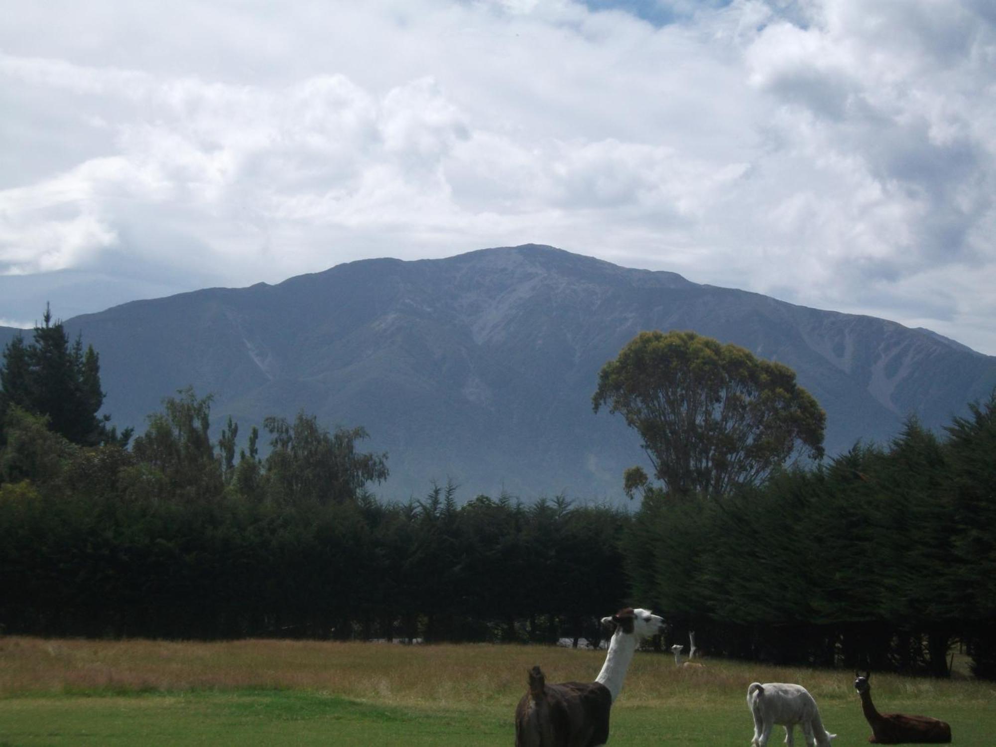 Wacky Stays - Unique Farm-Stay Glamping Rentals, Free Animal Feeding Tours Kaikoura Luaran gambar