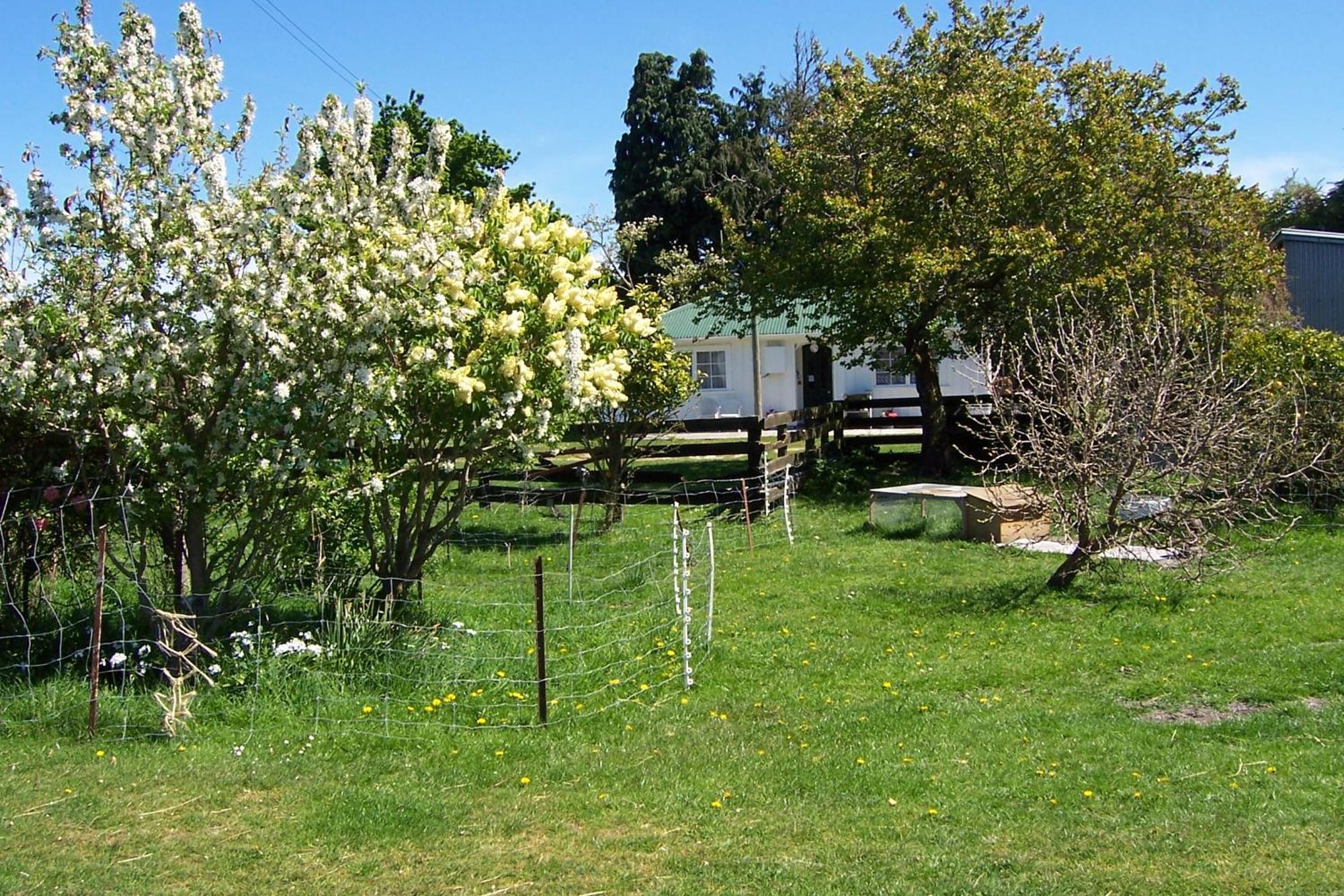 Wacky Stays - Unique Farm-Stay Glamping Rentals, Free Animal Feeding Tours Kaikoura Luaran gambar