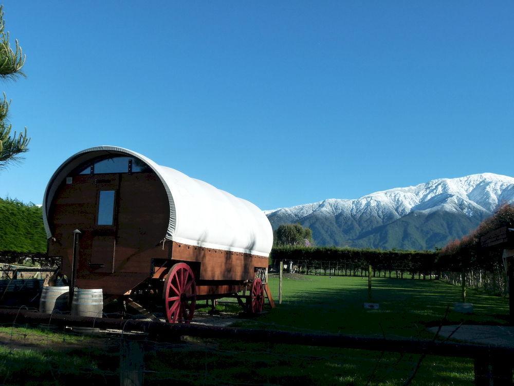 Wacky Stays - Unique Farm-Stay Glamping Rentals, Free Animal Feeding Tours Kaikoura Luaran gambar