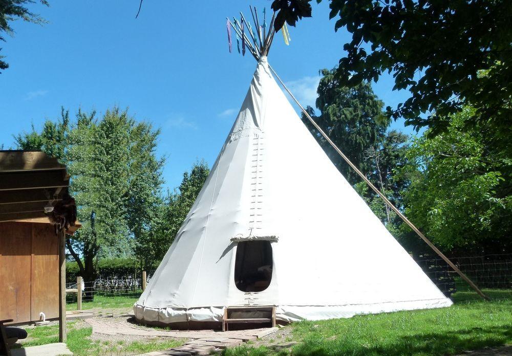 Wacky Stays - Unique Farm-Stay Glamping Rentals, Free Animal Feeding Tours Kaikoura Luaran gambar