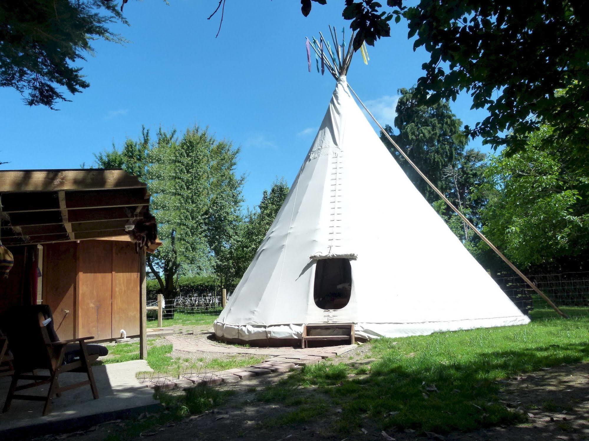 Wacky Stays - Unique Farm-Stay Glamping Rentals, Free Animal Feeding Tours Kaikoura Luaran gambar