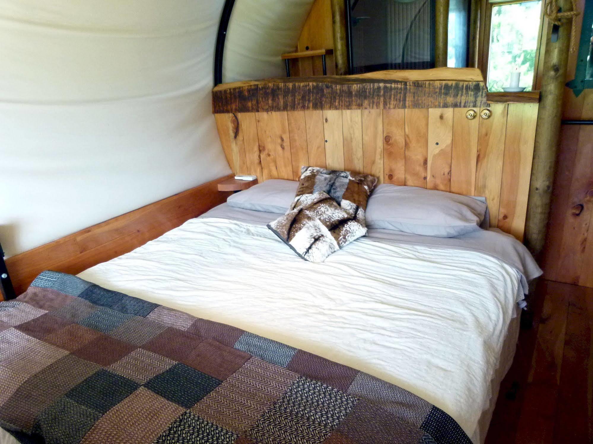 Wacky Stays - Unique Farm-Stay Glamping Rentals, Free Animal Feeding Tours Kaikoura Luaran gambar