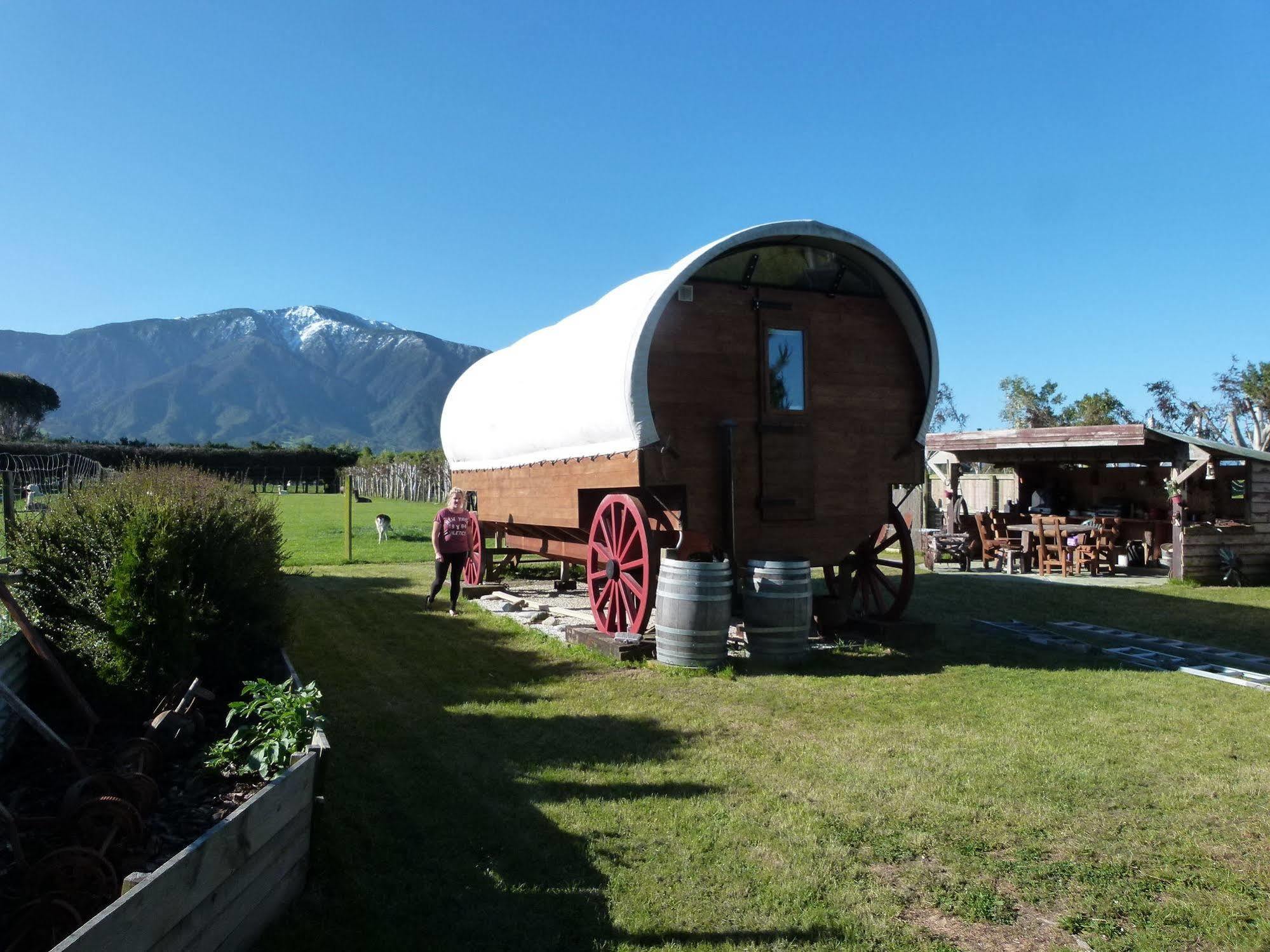 Wacky Stays - Unique Farm-Stay Glamping Rentals, Free Animal Feeding Tours Kaikoura Luaran gambar